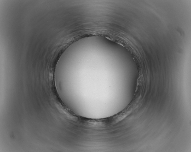 X0000111460284200907271257