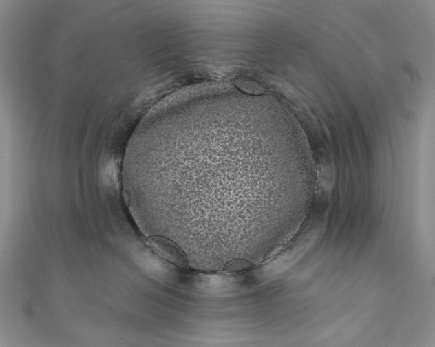 X0000111460286200907271257