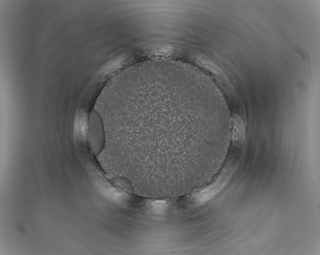 X0000111460287200907271257