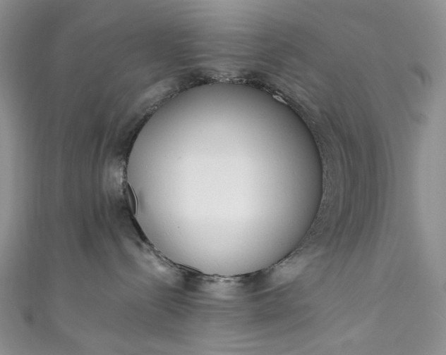 X0000111460288200907271257