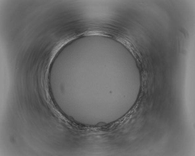 X0000111460289200907271257