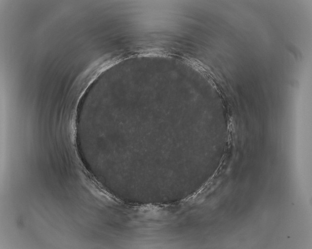 X0000111460290200907271257