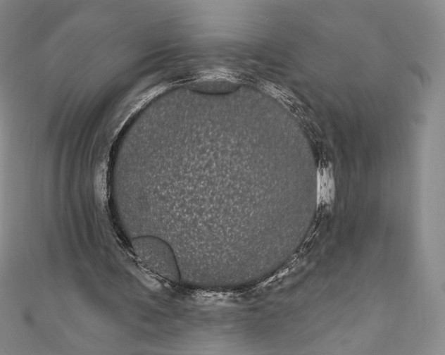 X0000111460291200907271257