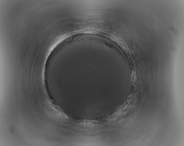 X0000111460292200907271257