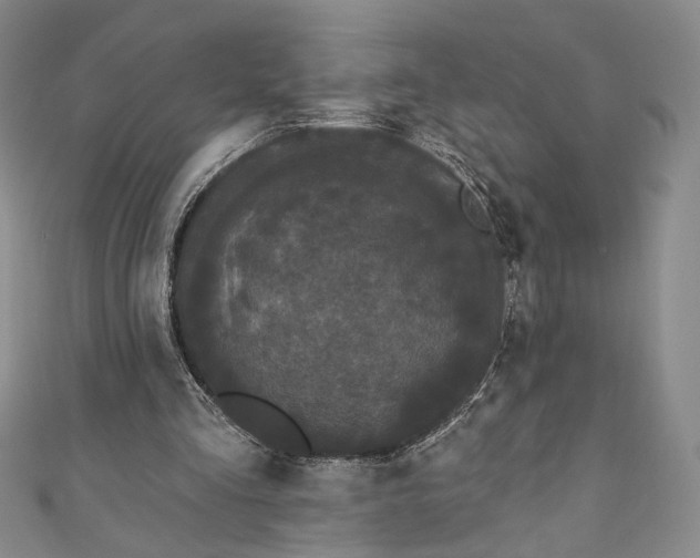 X0000111460293200907271257