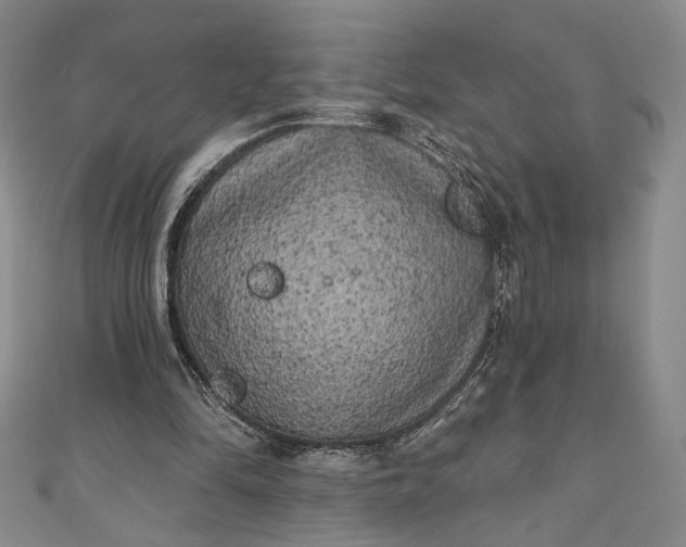 X0000111460294200907271257