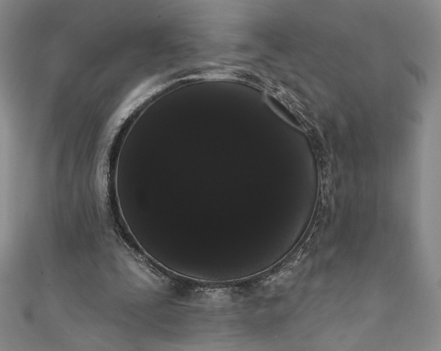 X0000111460295200907271257