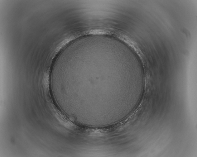 X0000111460297200907271257