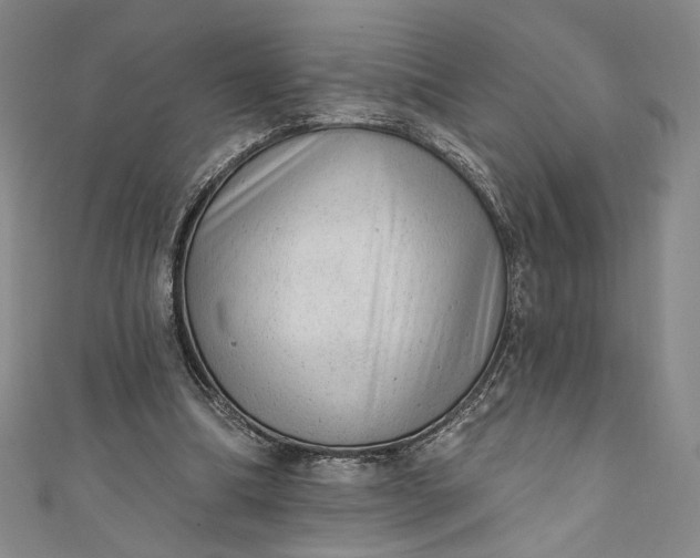 X0000111460298200907271257