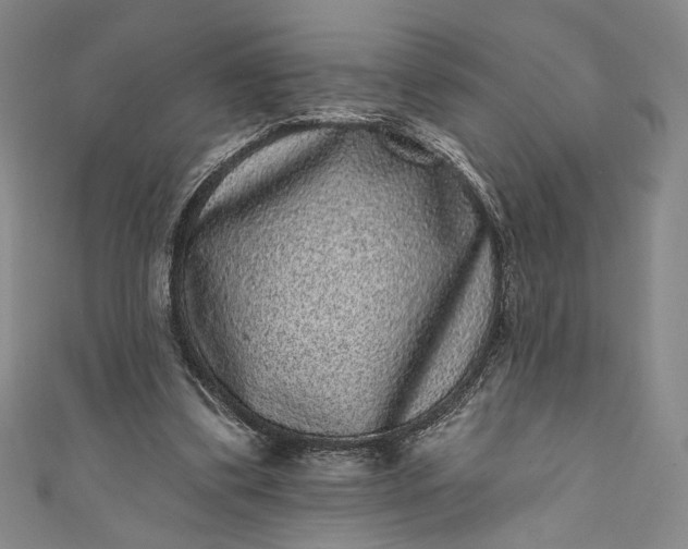 X0000111460299200907271257