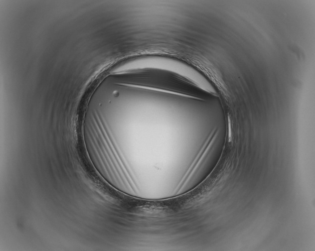 X0000111460300200907271257