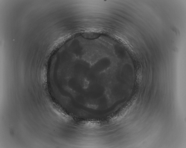 X0000111460303200907271257