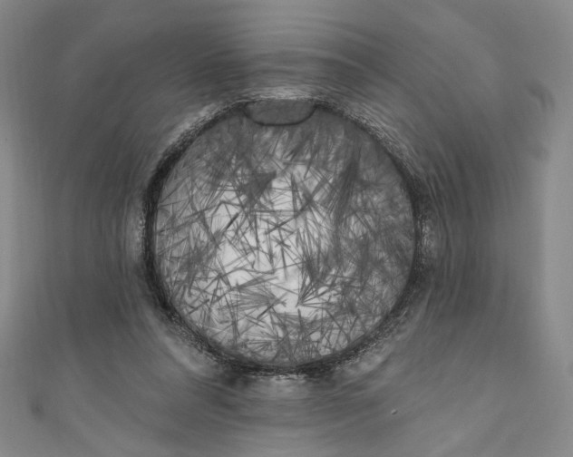 X0000111460304200907271256