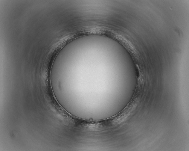 X0000111460306200907271256