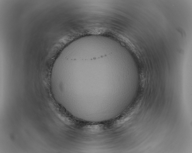 X0000111460307200907271256