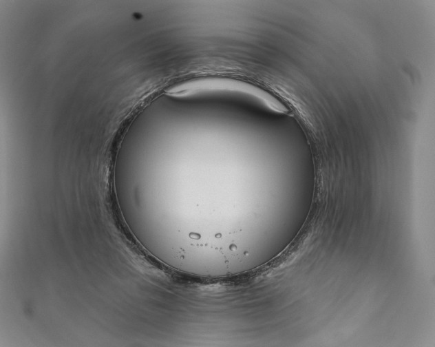 X0000111460309200907271256