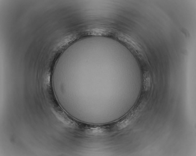 X0000111460310200907271256