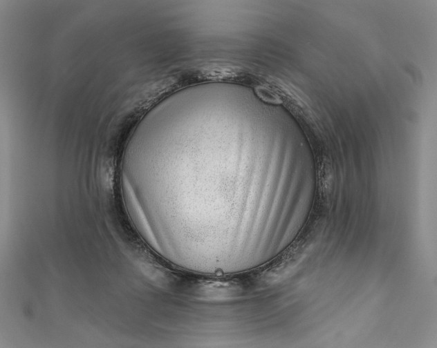 X0000111460315200907271256