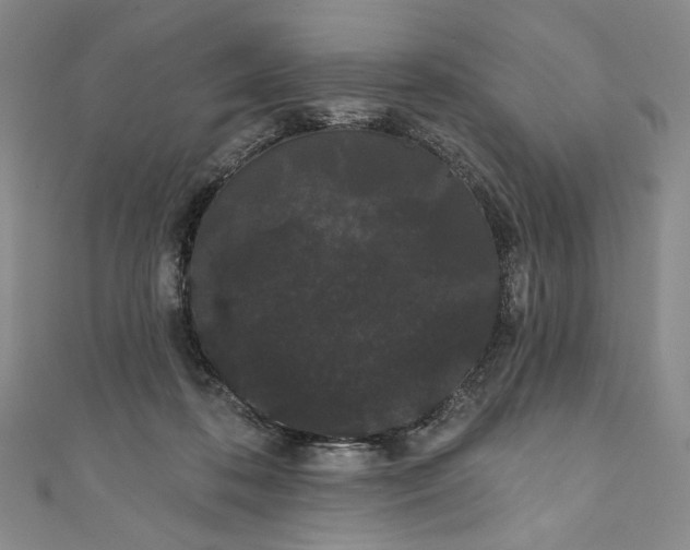 X0000111460316200907271256