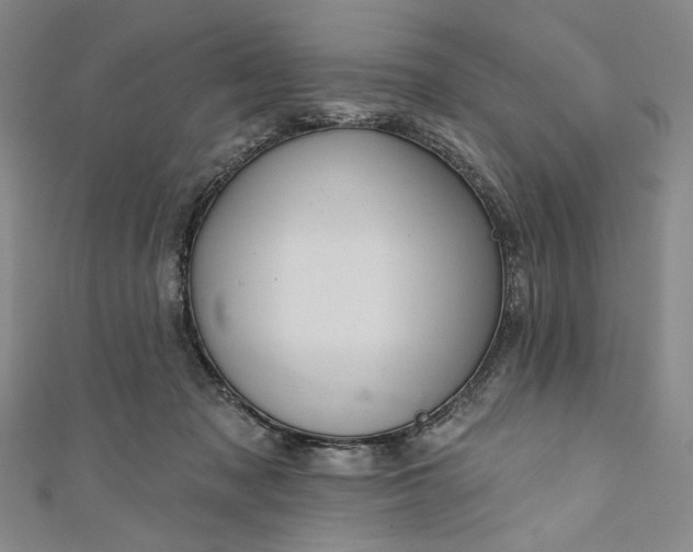 X0000111460317200907271256