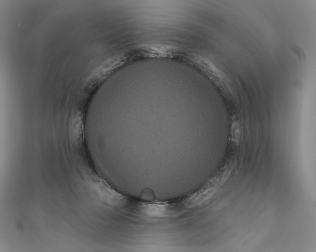 X0000111460318200907271256