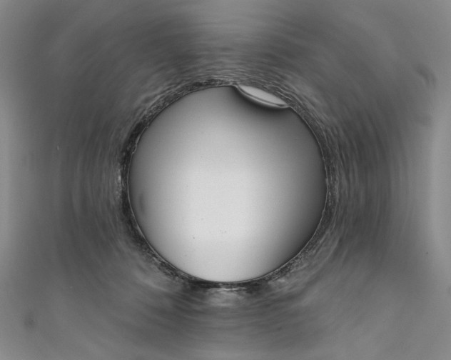 X0000111460320200907271256