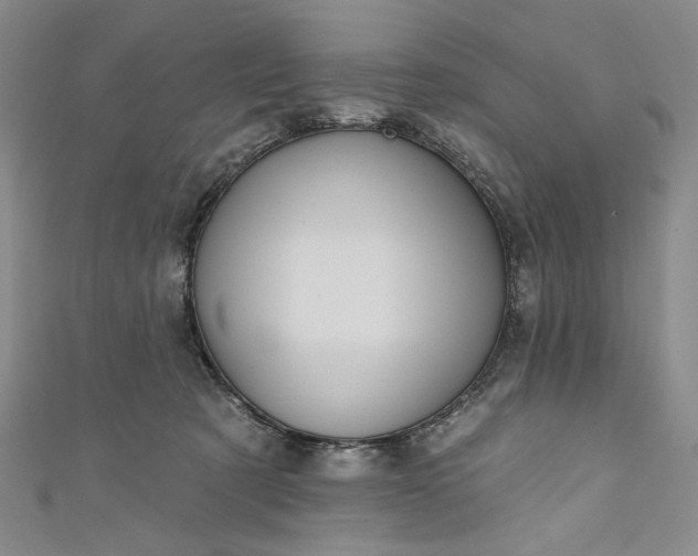 X0000111460321200907271256