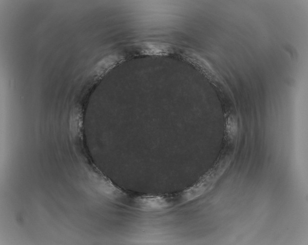 X0000111460322200907271256