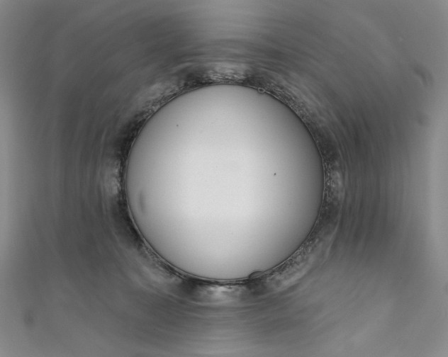 X0000111460323200907271256