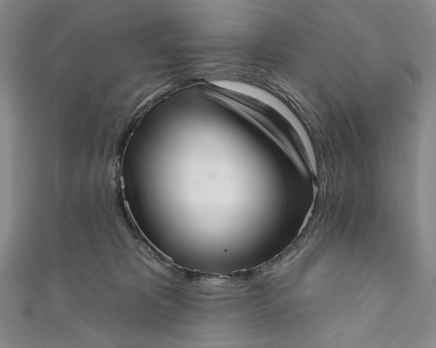 X0000111460325200907271256