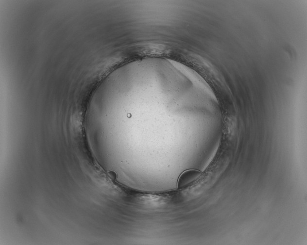 X0000111460326200907271256