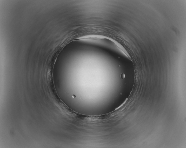 X0000111460327200907271256