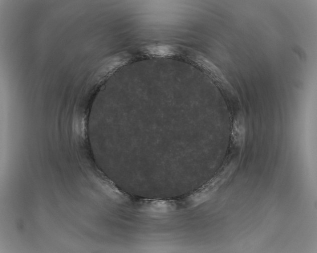 X0000111460330200907271256