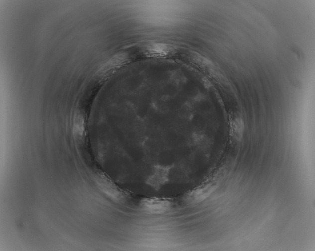 X0000111460331200907271256