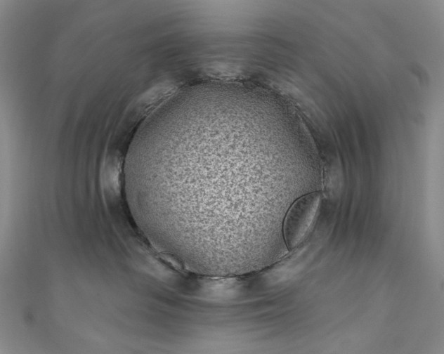 X0000111460334200907271256