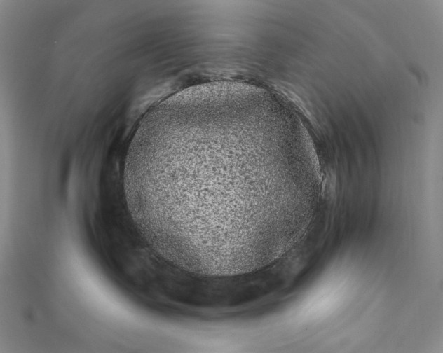 X0000111460335200907271256