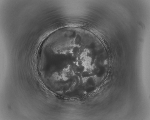 X0000111460337200907271255