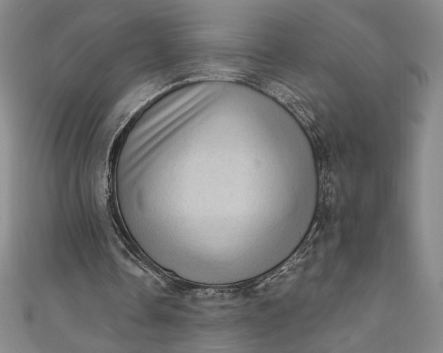 X0000111460338200907271255