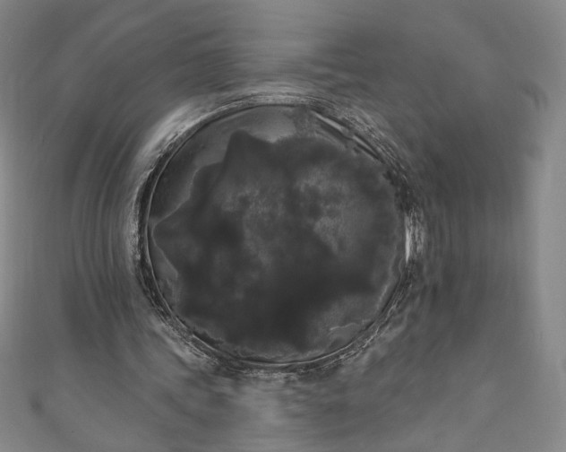 X0000111460339200907271255