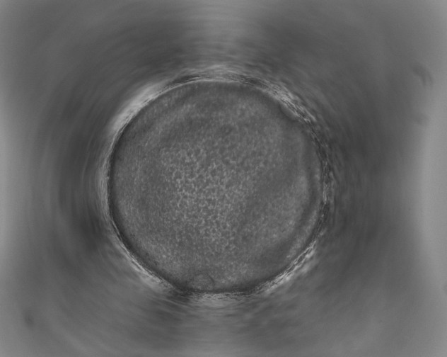 X0000111460341200907271256