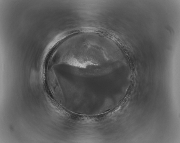 X0000111460343200907271256