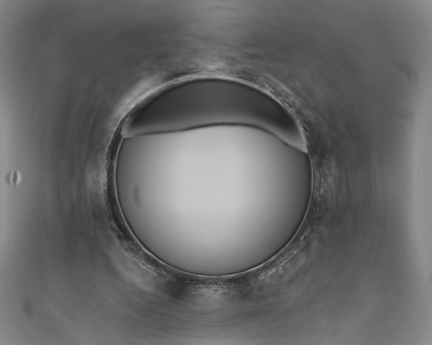 X0000111460344200907271256