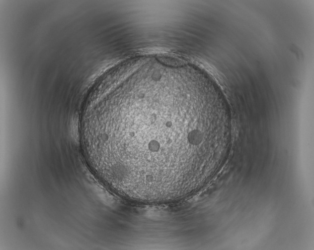 X0000111460345200907271256