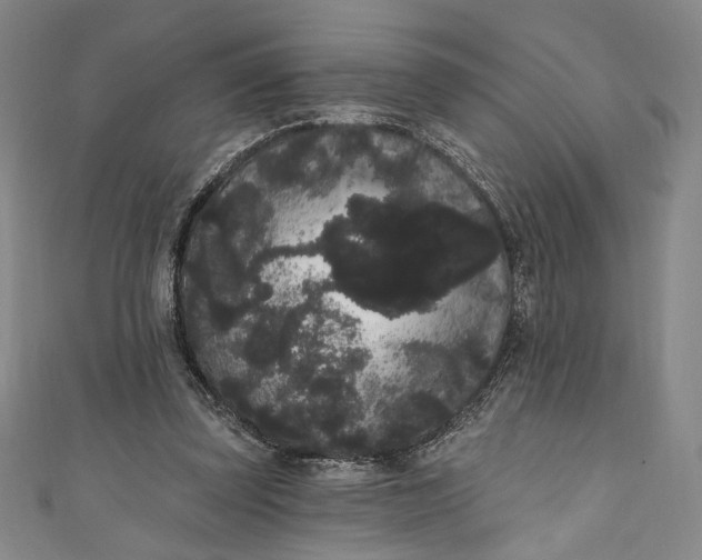 X0000111460347200907271256