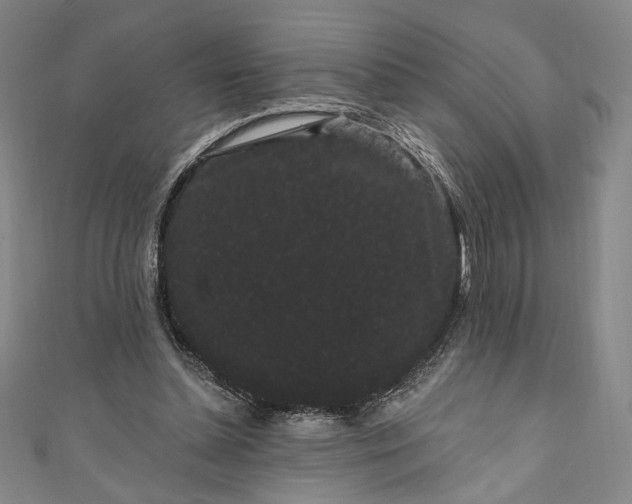 X0000111460348200907271256