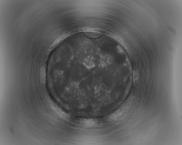 X0000111460349200907271256