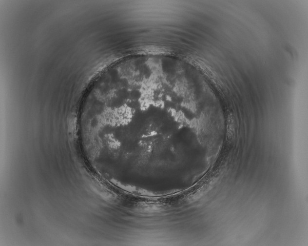 X0000111460351200907271256