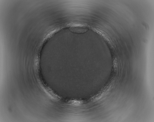 X0000111460352200907271256