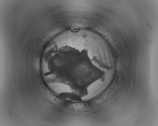 X0000111460353200907271256