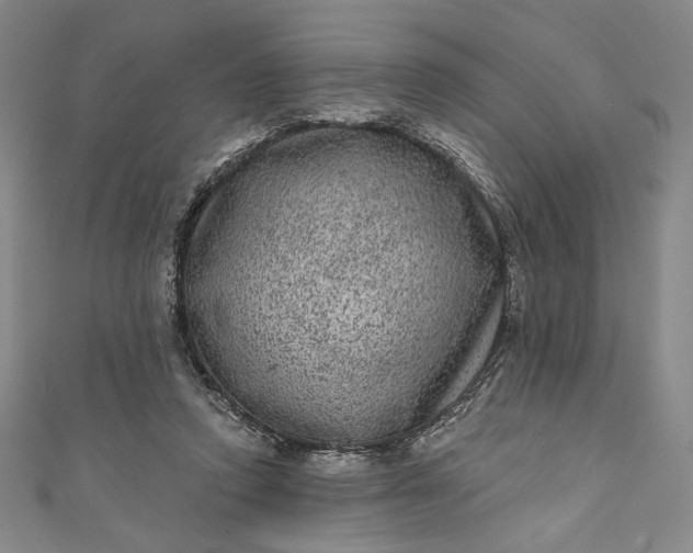 X0000111460354200907271256